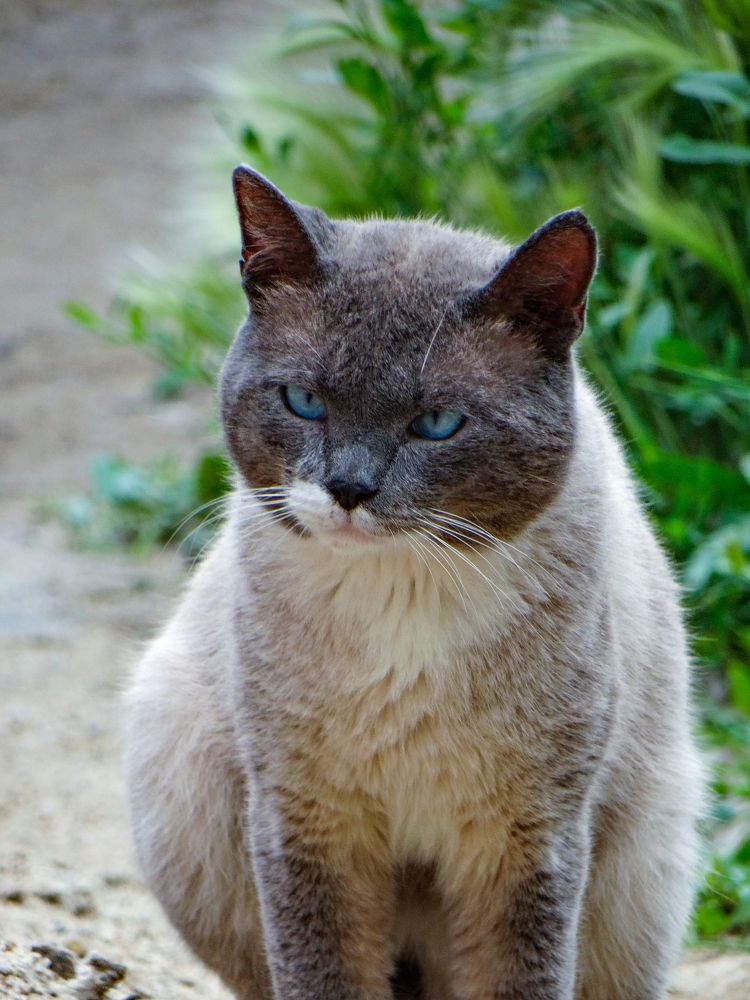 Photograph by Анжелика Трошина