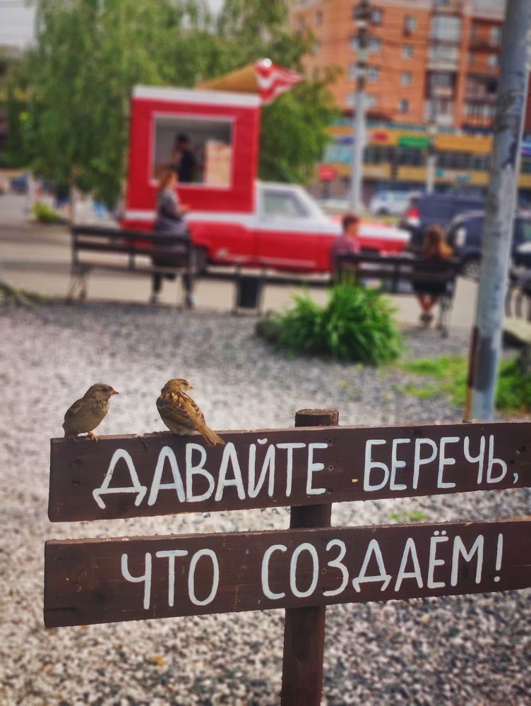 Кто создаёт природу?