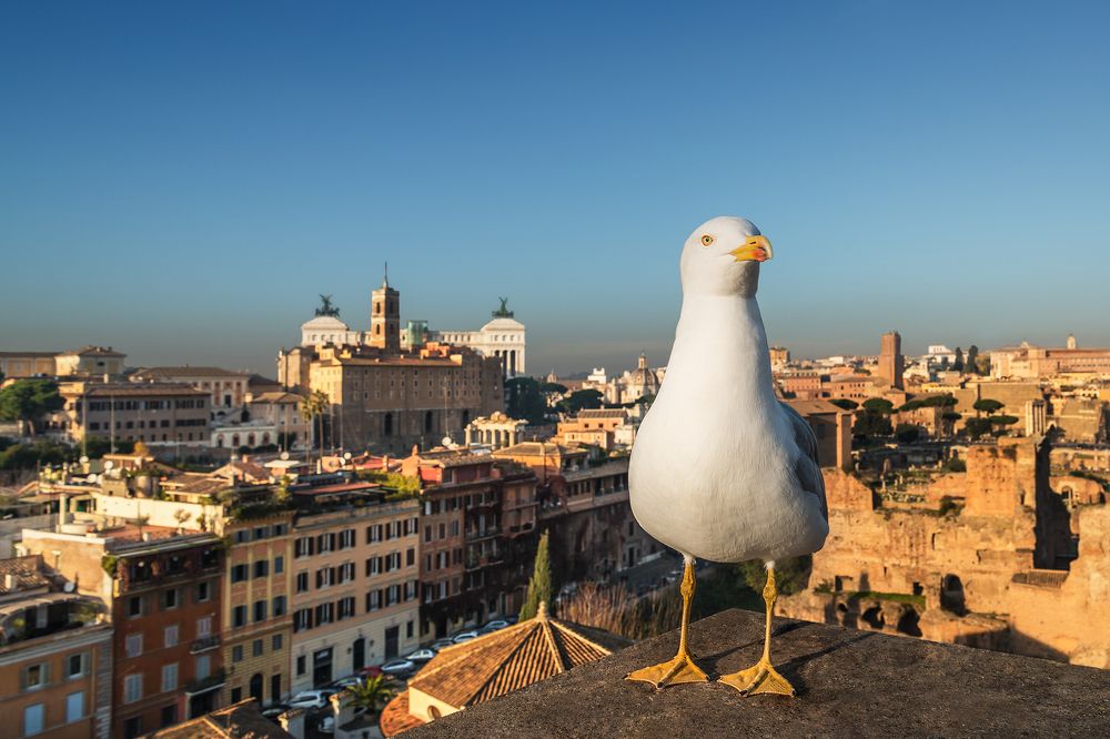 Photograph by Марина Ческис