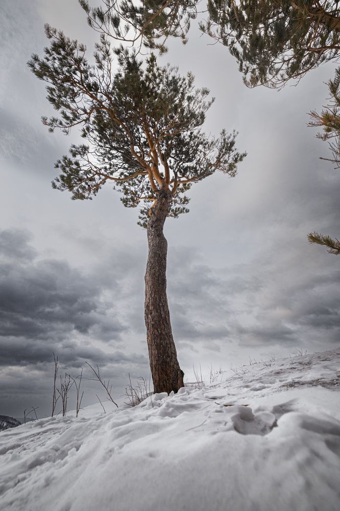 Фотография автора Иван Грин