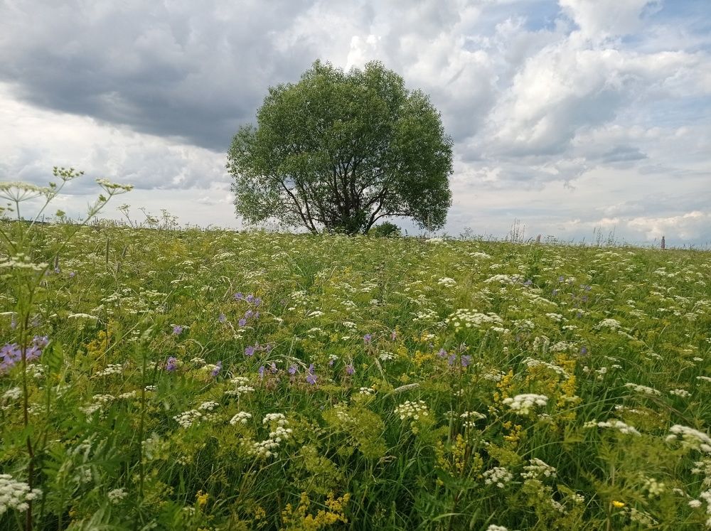 Photograph by Антонина Проскурина