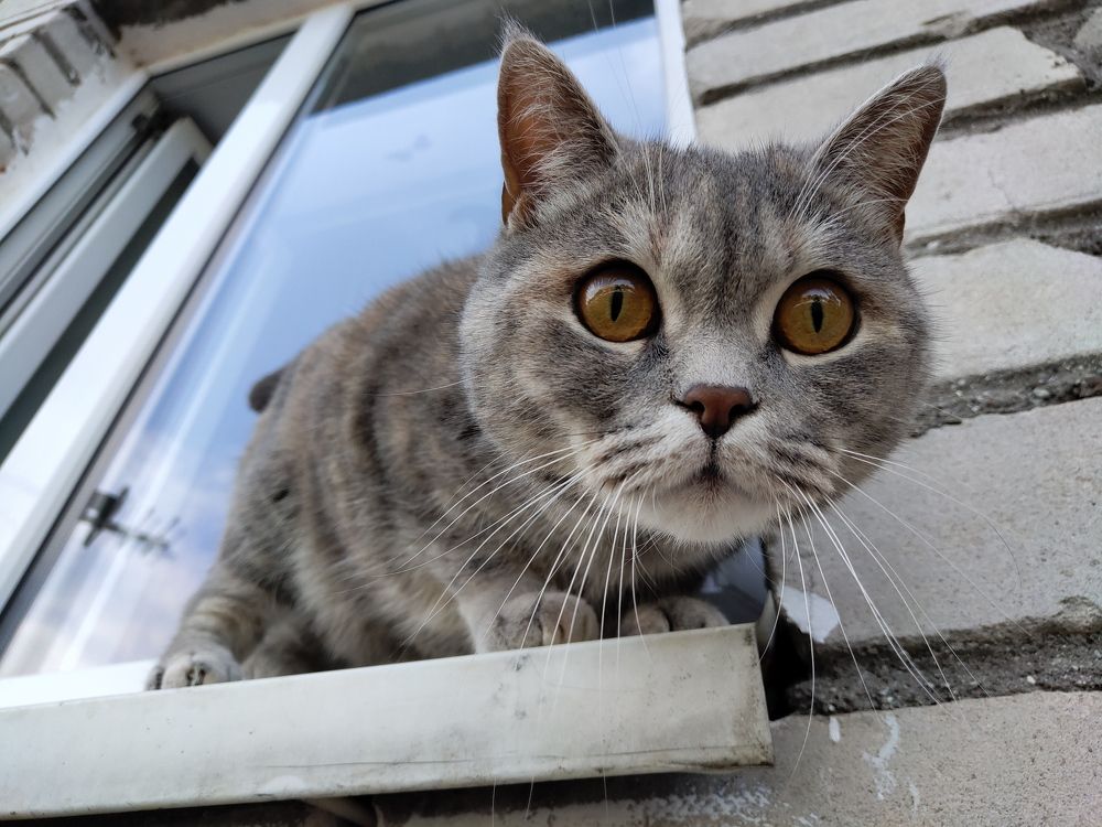 Photograph by Дмитрий Королёв