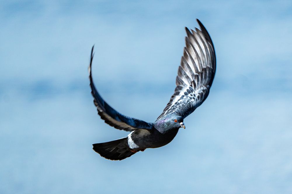 Photograph by Ольга Пачина