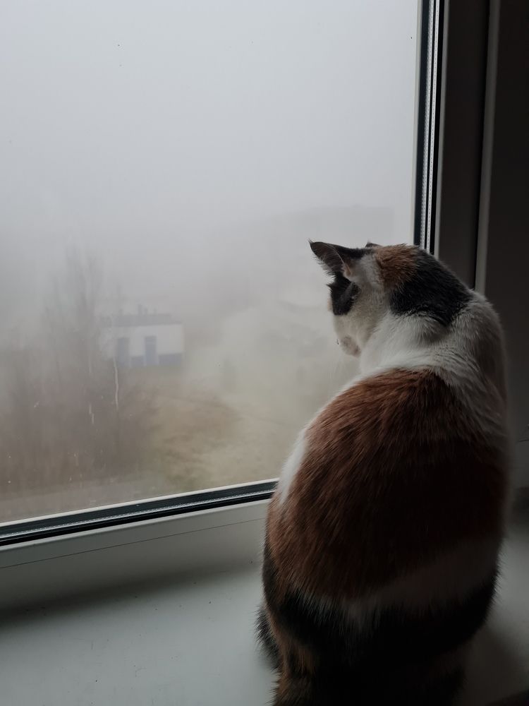Photograph by Екатерина