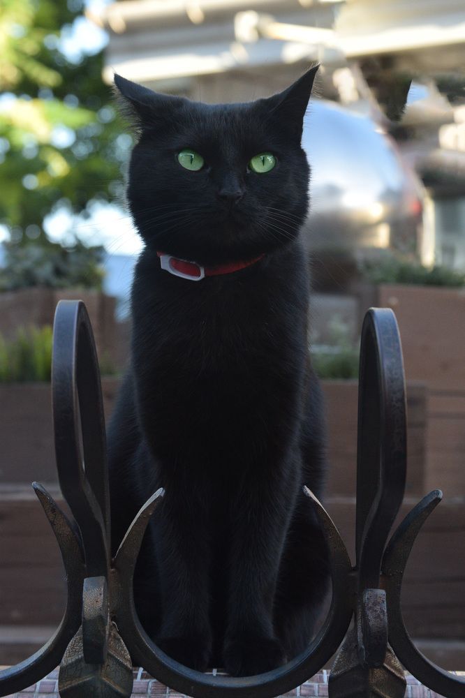 Photograph by Наталья Зверева