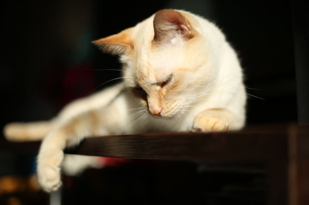 Photograph by Наталья Муравейко