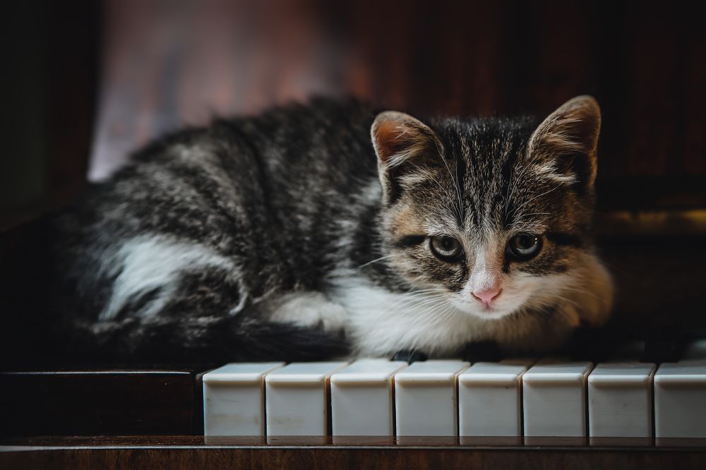 Photograph by Юлианна Митрофанова