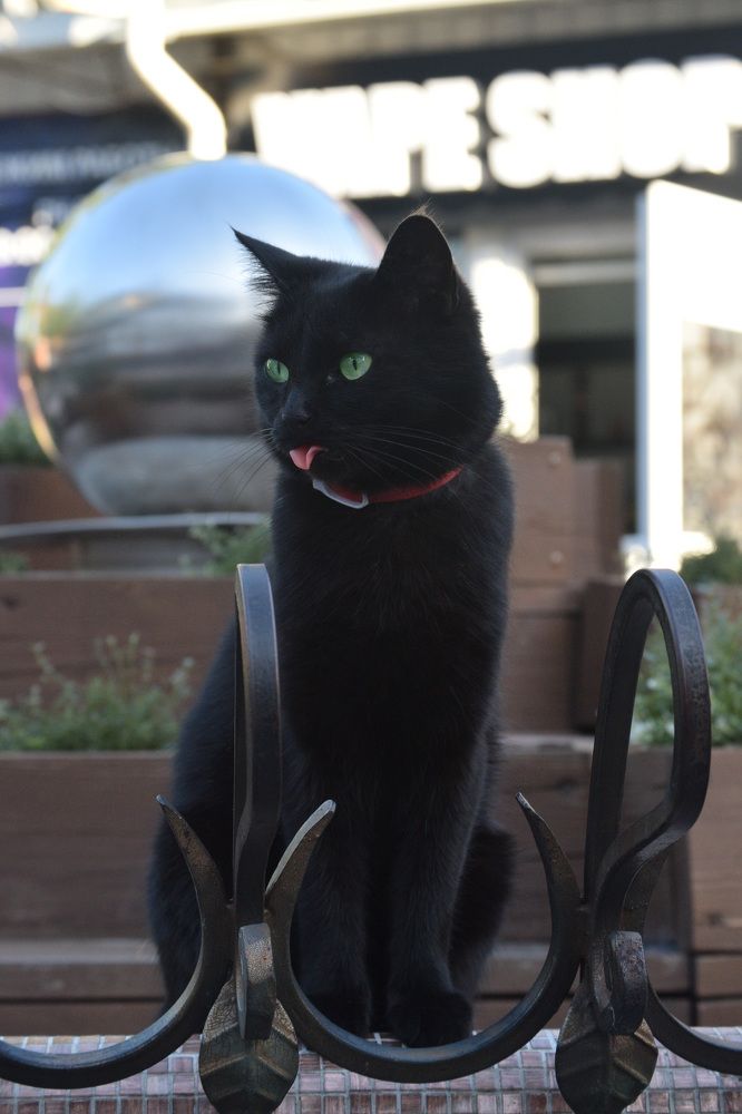 Photograph by Наталья Зверева