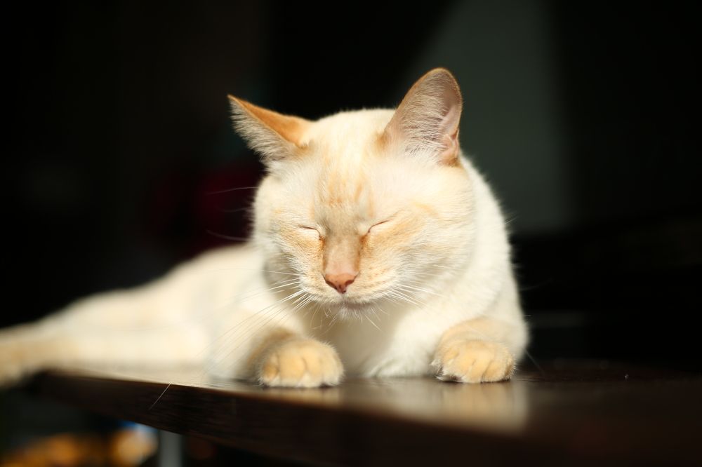 Photograph by Наталья Муравейко