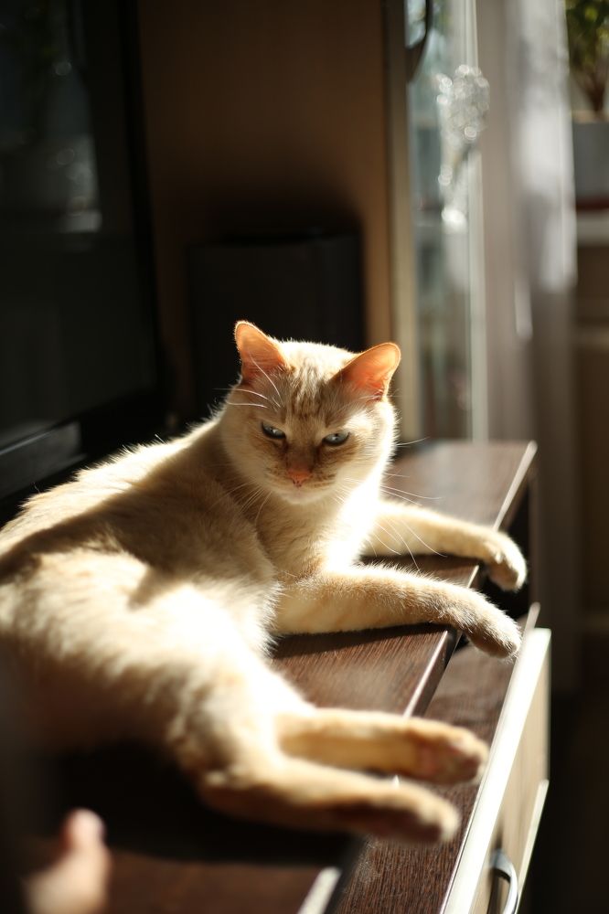 Photograph by Наталья Муравейко