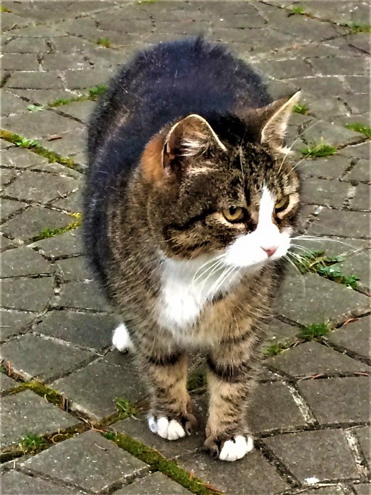 Photograph by Галина