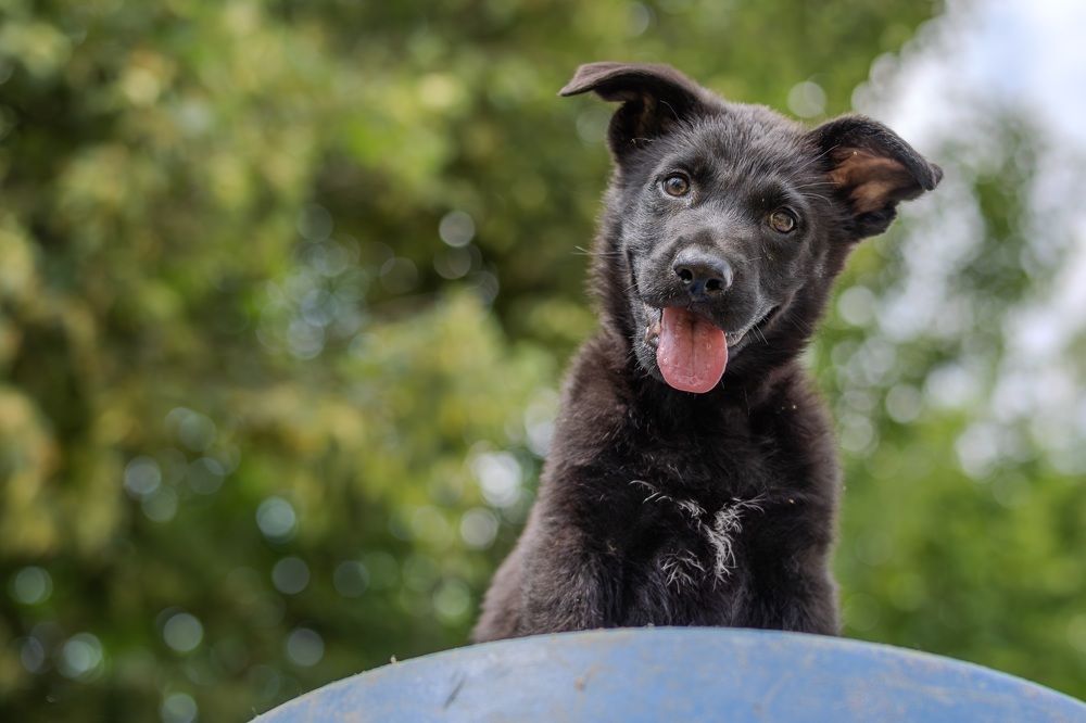 Photograph by Сергей Жиркевич