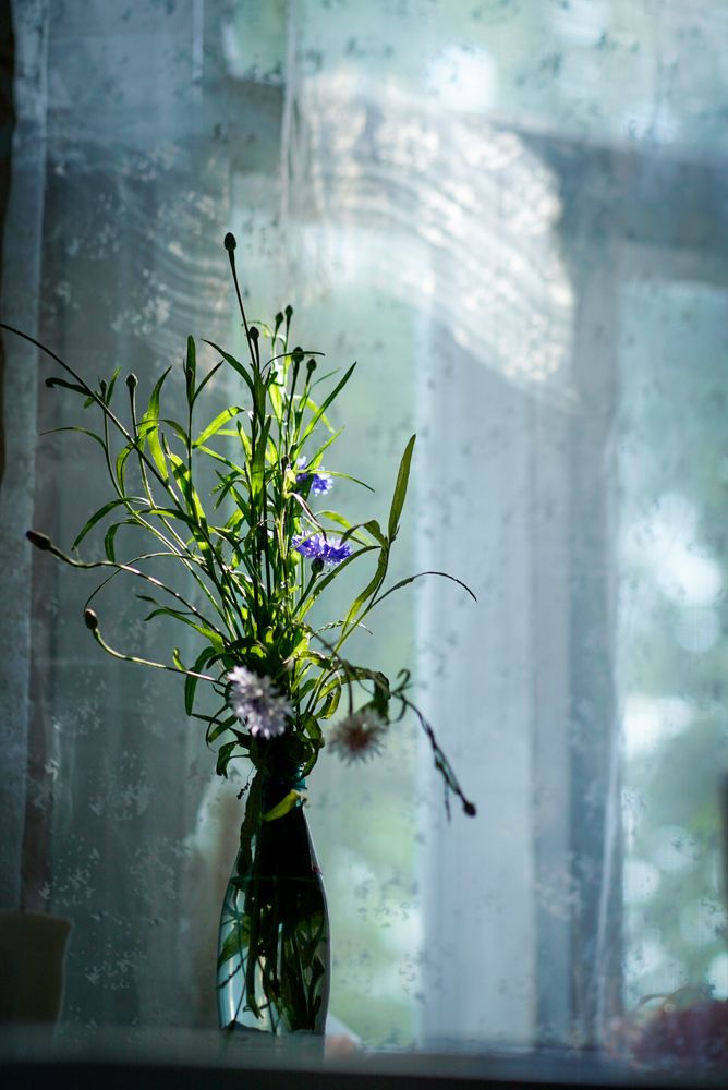 Photograph by Наталья Мэмэлигэ