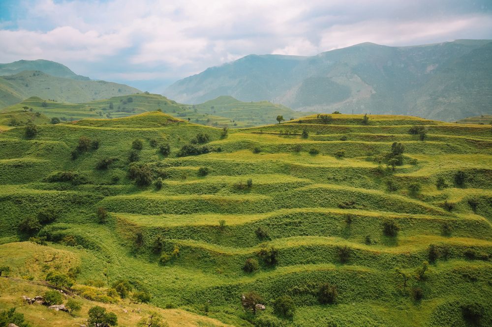 Photograph by Алексей Голубев