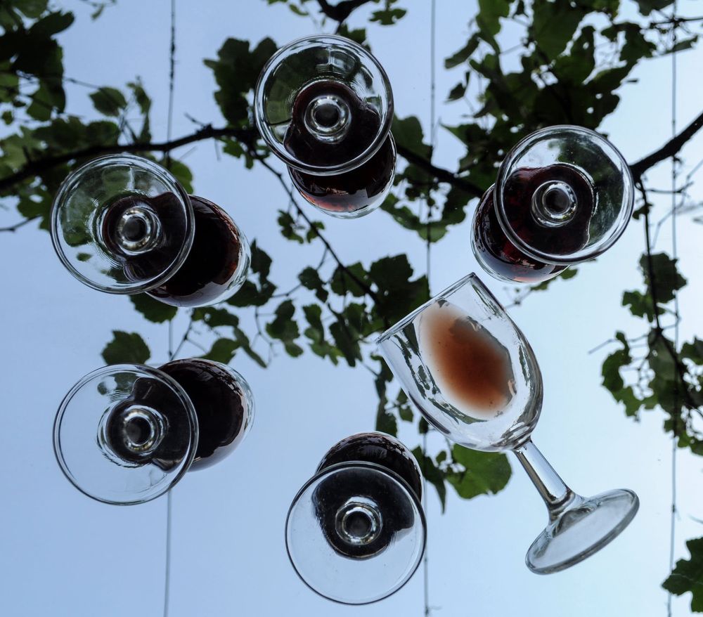 Photograph by Ricardo Kimmich