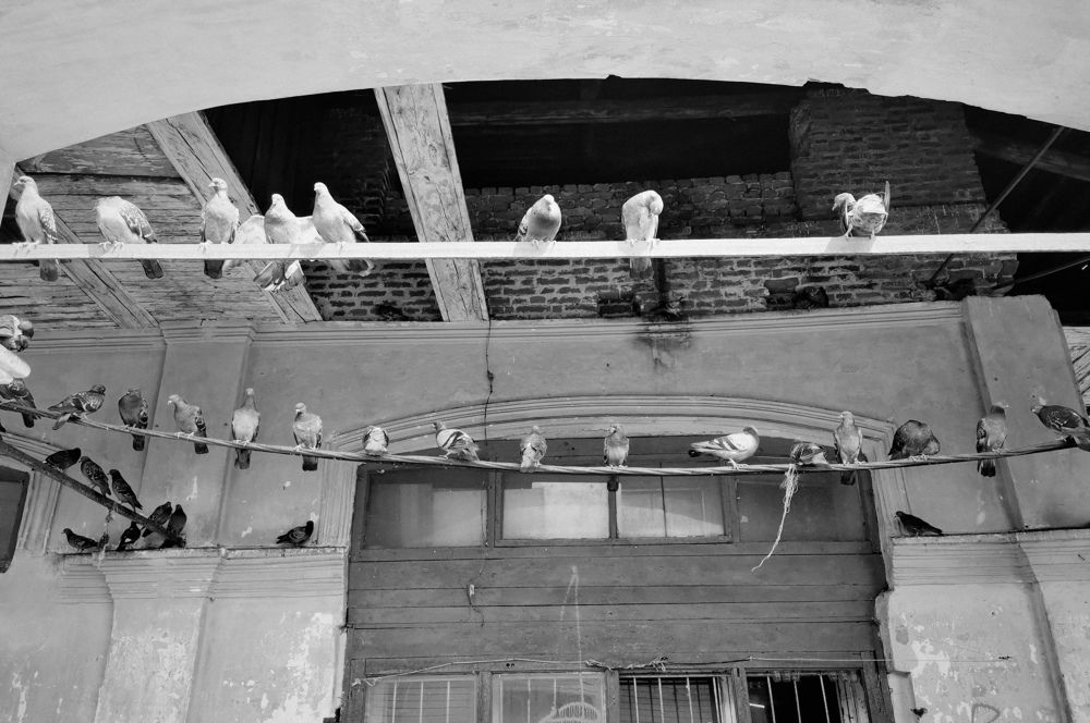 Photograph by Максим Михайлов