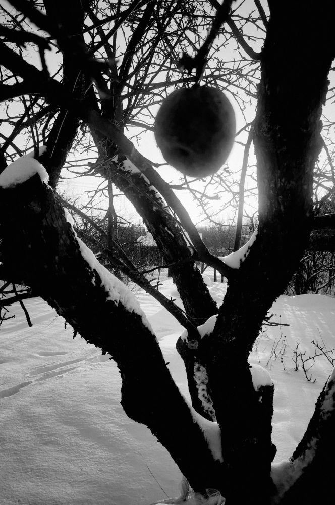 Photograph by Максим Михайлов