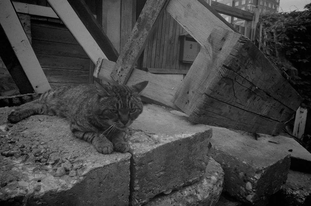 Photograph by Максим Михайлов