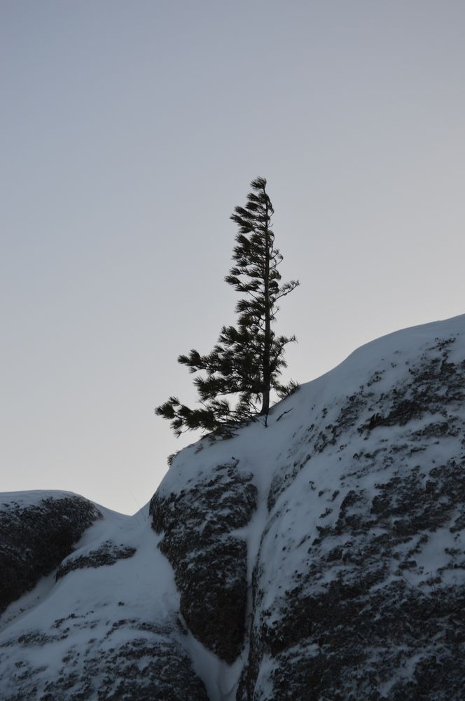 Photograph by Маринова Марина