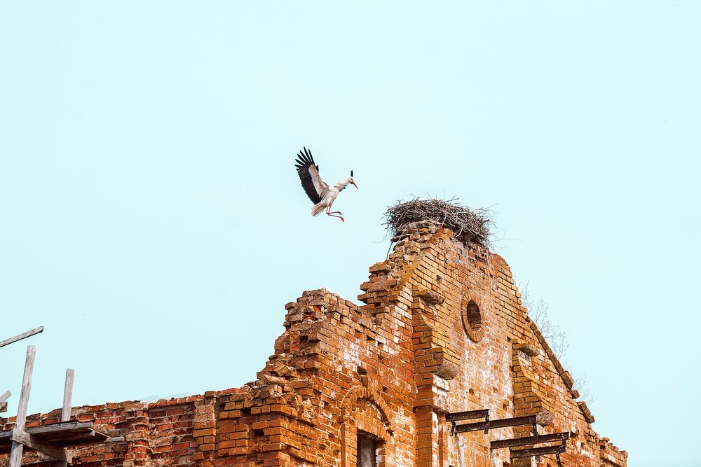 Photograph by Ольга Городецкая