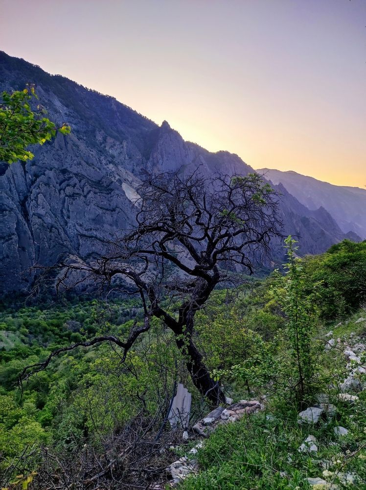 Photograph by Надежда Батракова