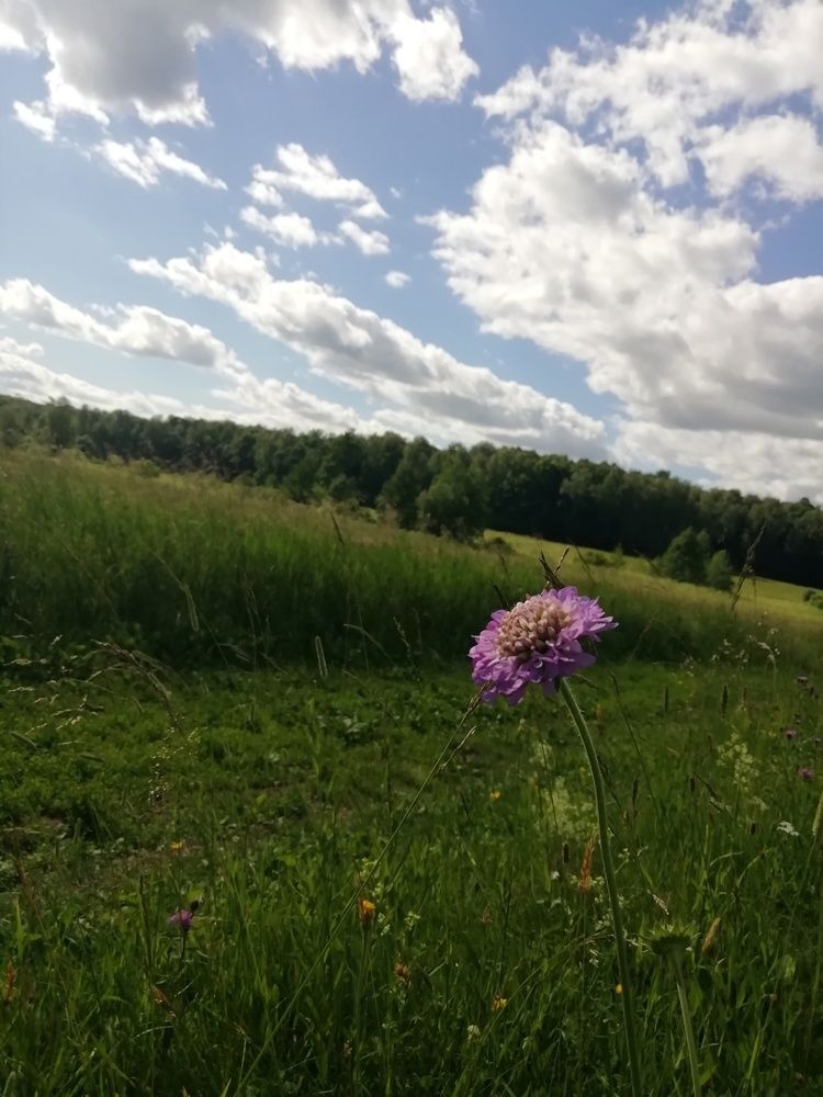 Фотография автора Петр Ваницын