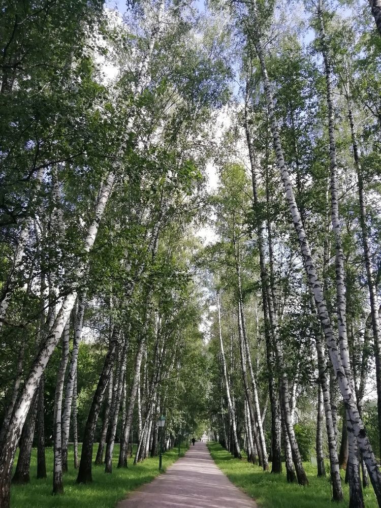 Фотография автора Петр Ваницын