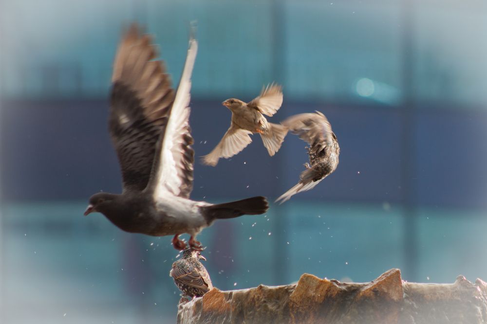 Photograph by Ольга Заповедная