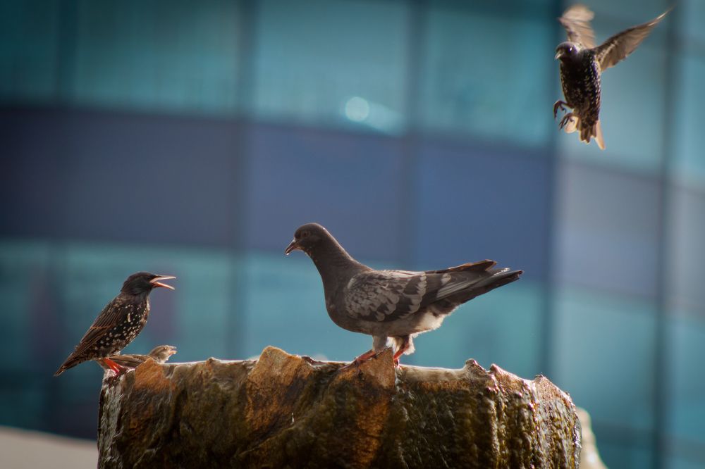 Photograph by Ольга Заповедная