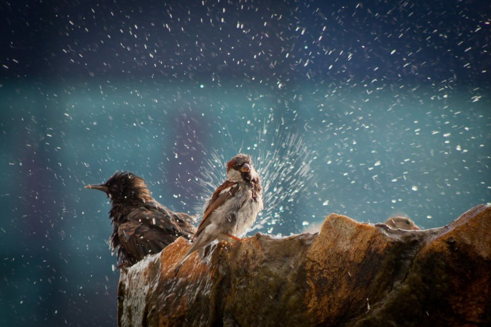 Photograph by Ольга Заповедная