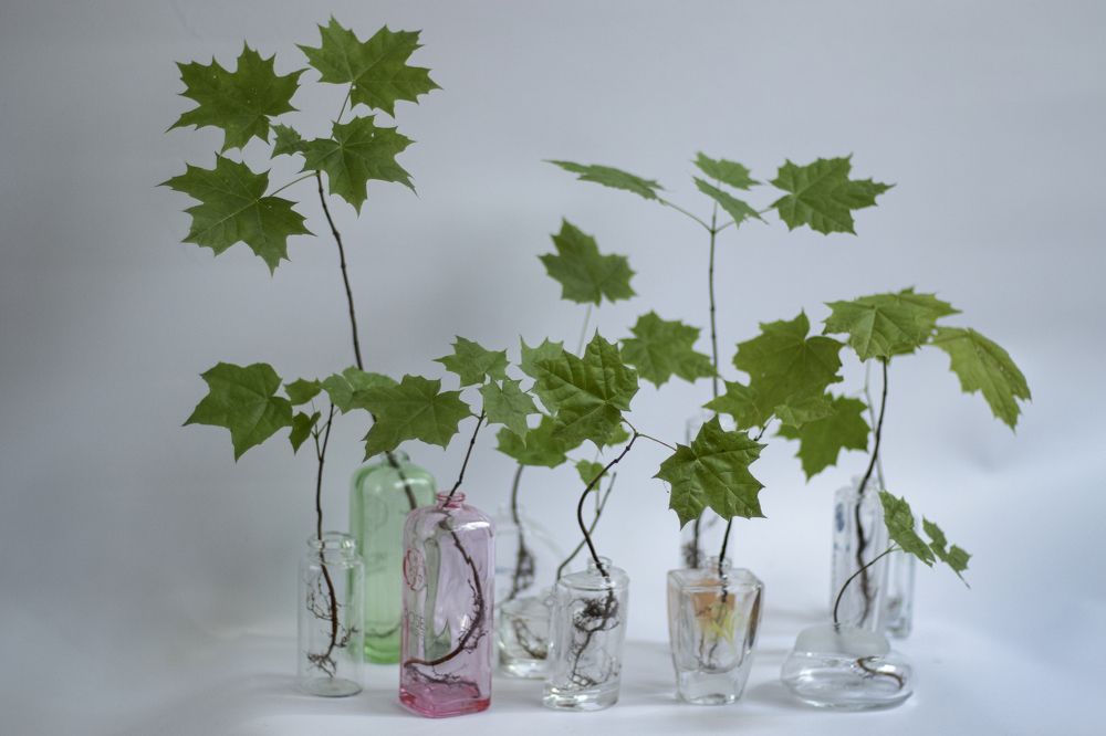 Photograph by Светлана Тарханова