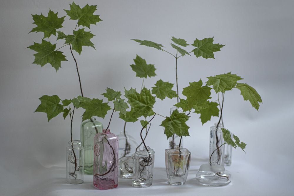 Photograph by Светлана Тарханова