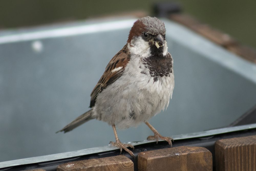 Photograph by Светлана Тарханова