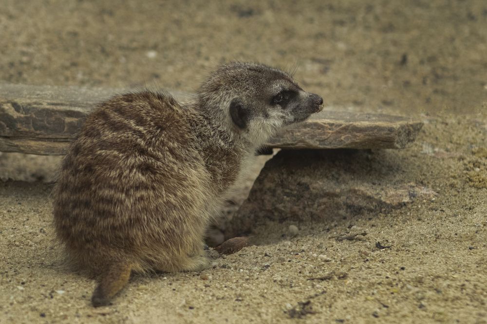 Photograph by Светлана Тарханова