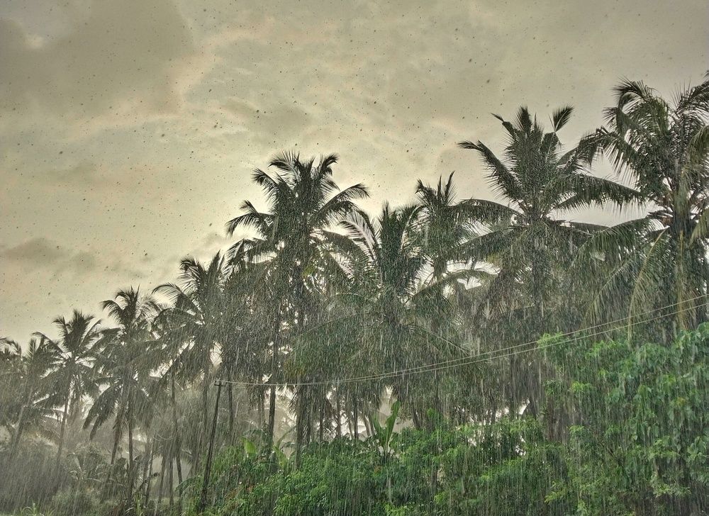 Photograph by Varsha Gatti