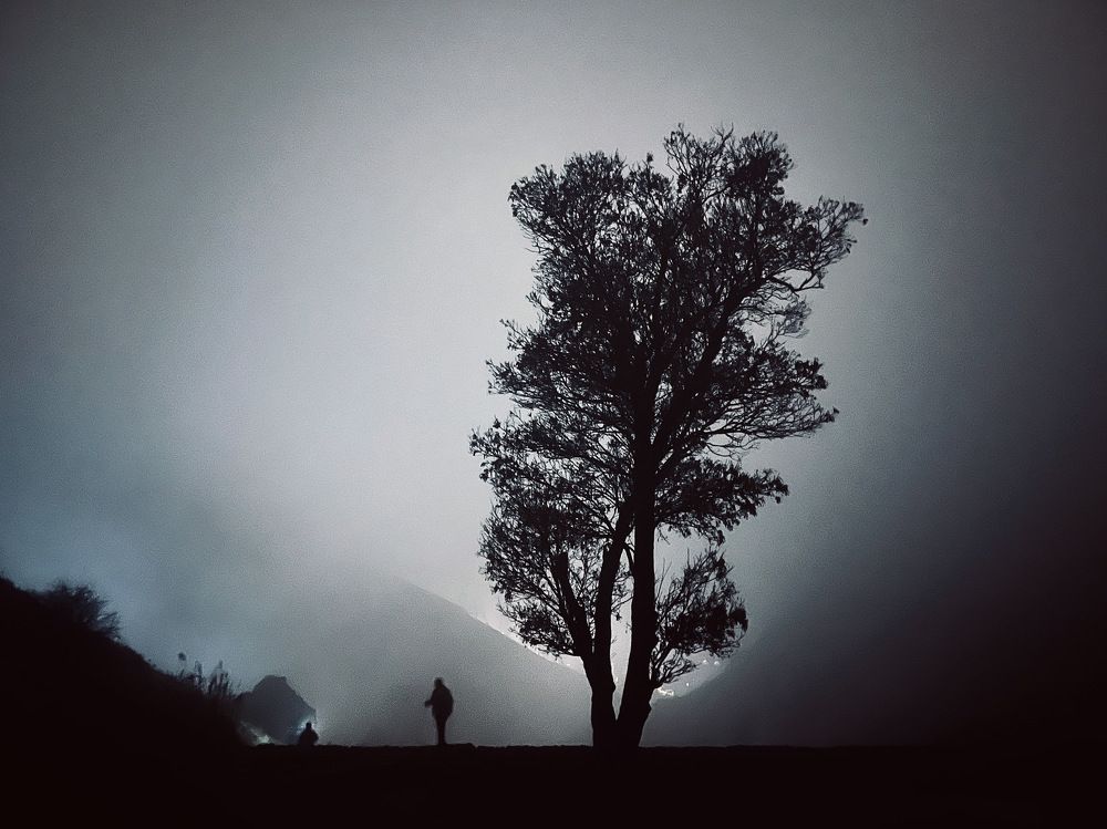 Alone in fog