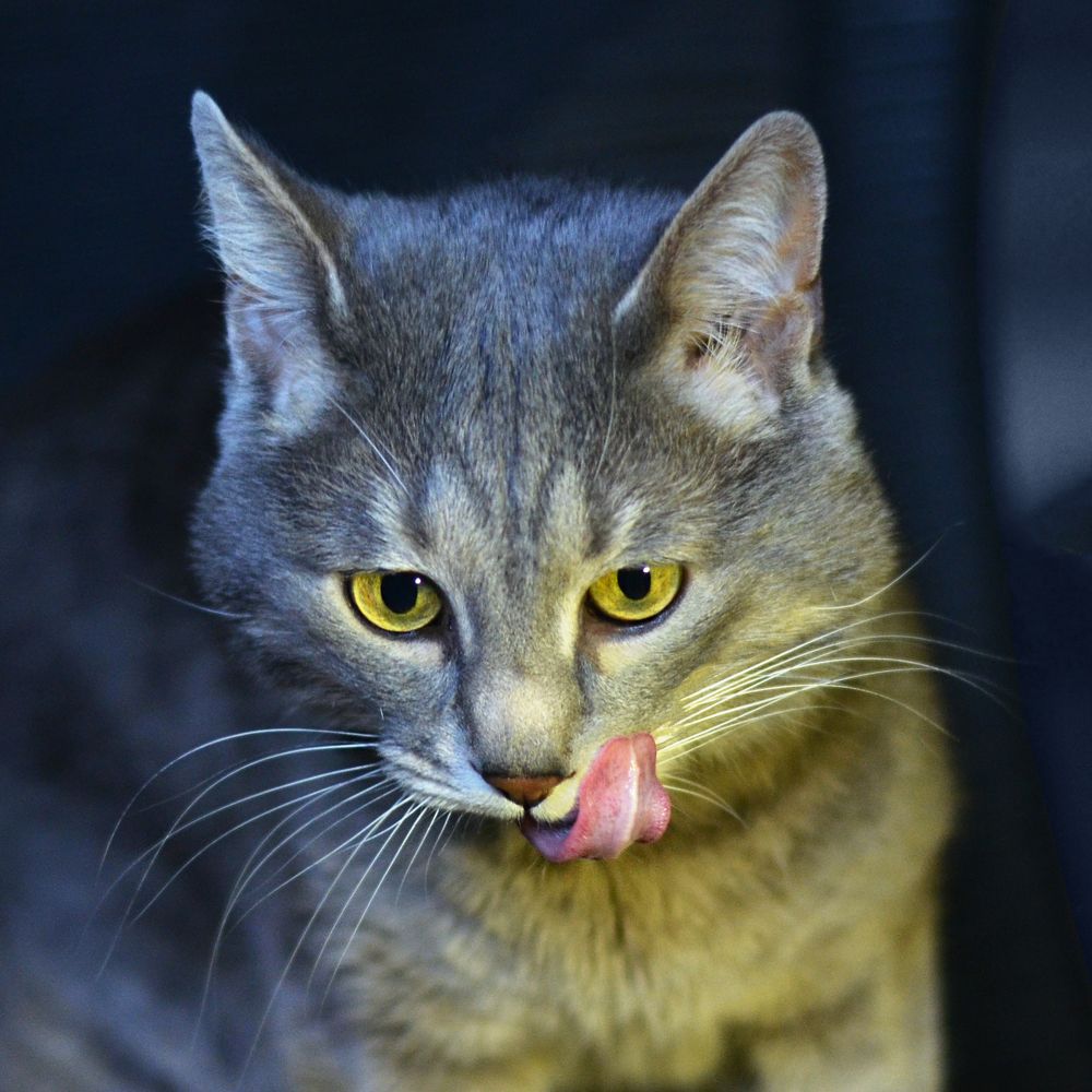 Photograph by Константин Мишнаевский