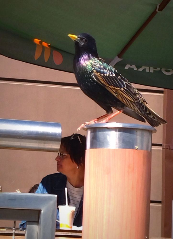 Photograph by Ольга Заповедная