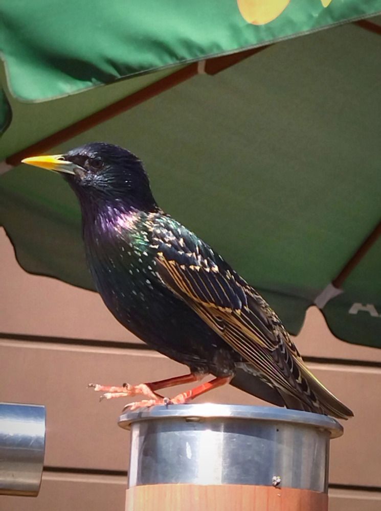 Photograph by Ольга Заповедная