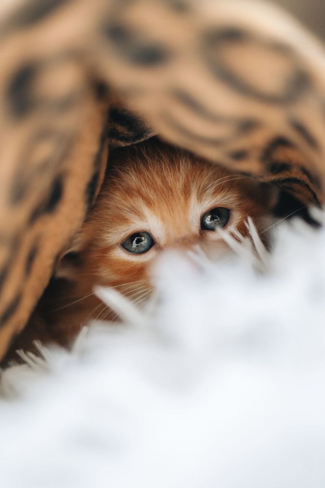 Photograph by Alma González