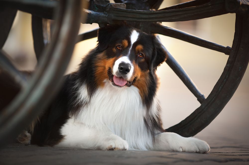 Photograph by Евгения Костусева