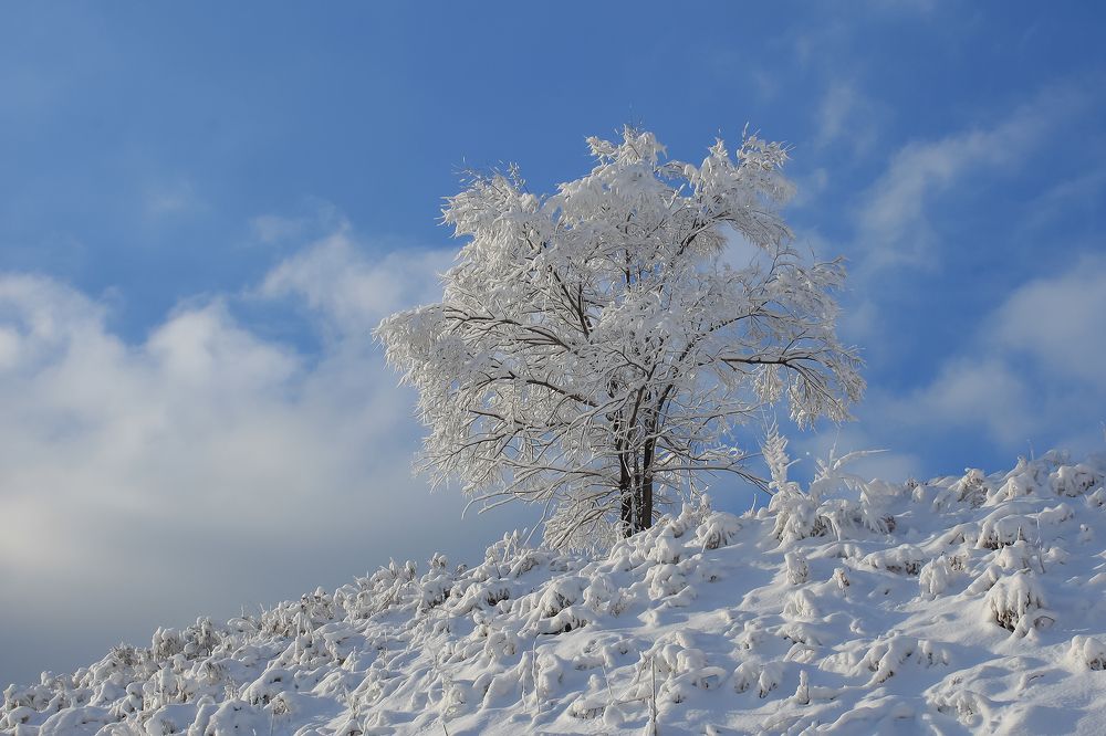 Фотография автора Владимир Пронин