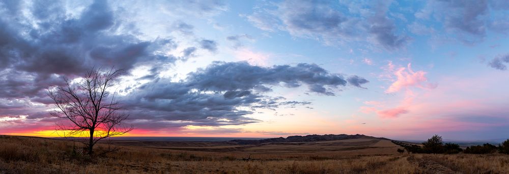 Фотография автора Владимир Пронин
