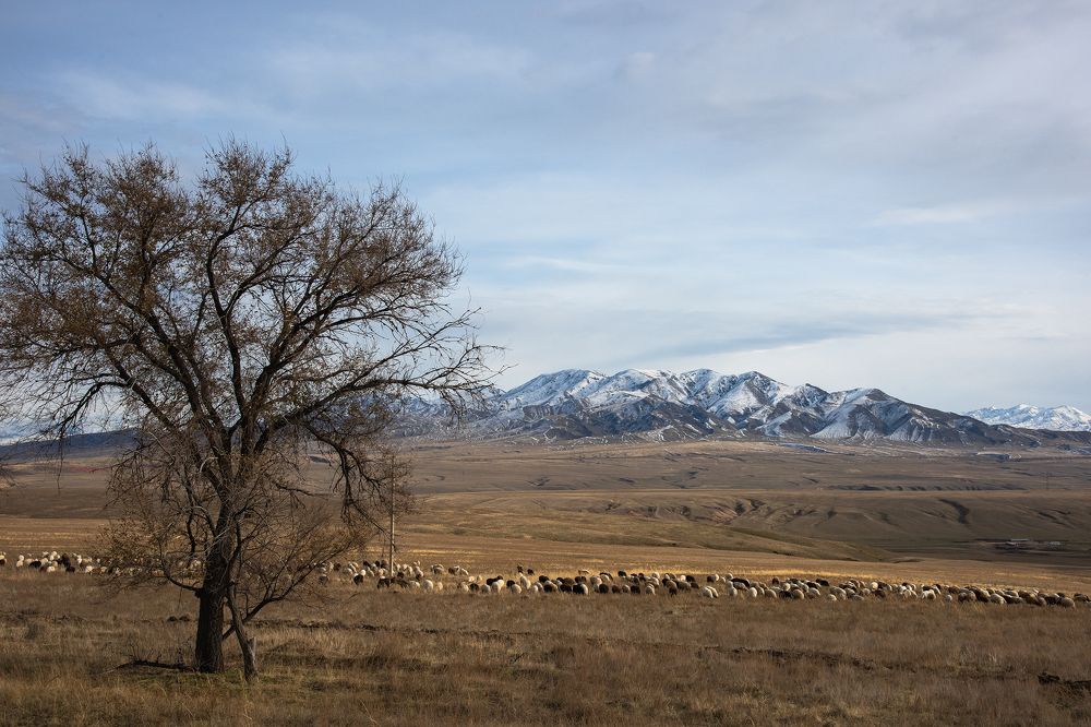 Фотография автора Владимир Пронин