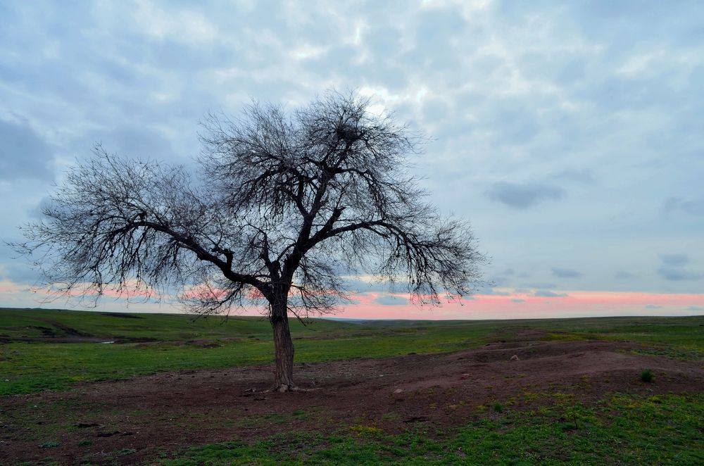 Фотография автора Сергей Ляшко