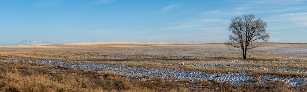 Фотография автора Владимир Пронин