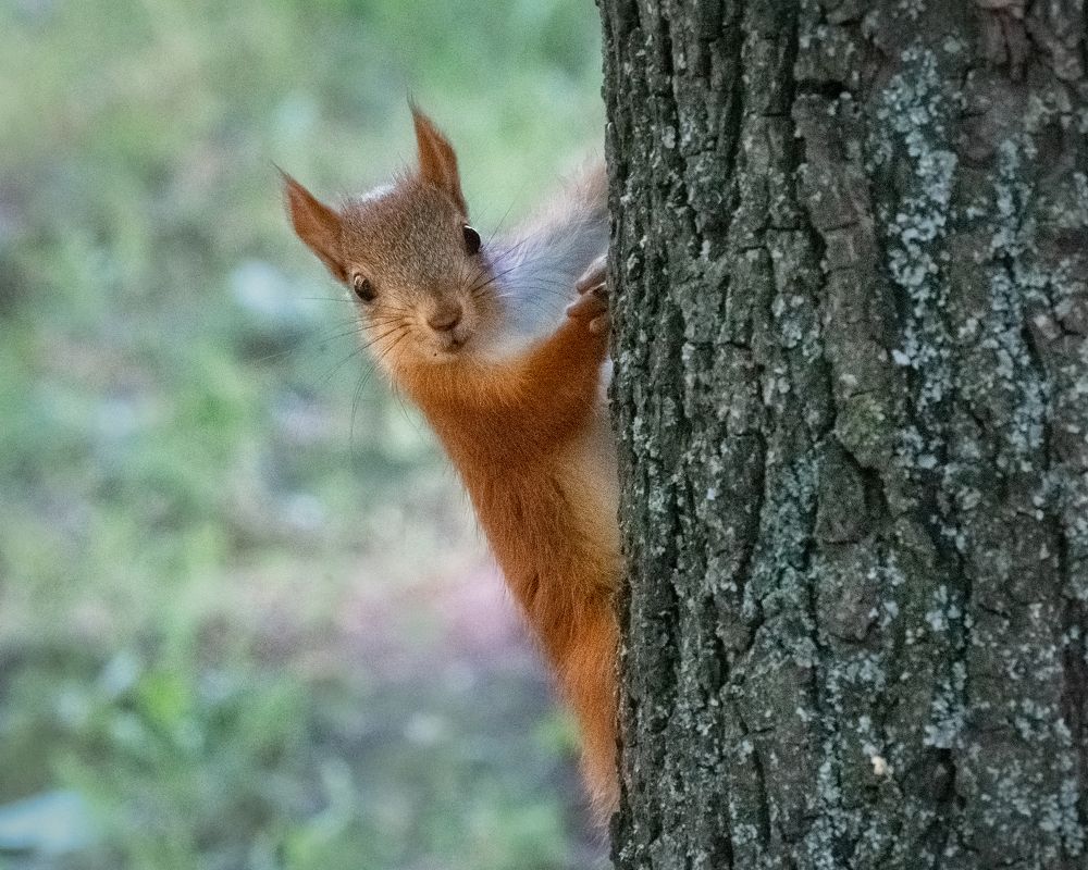 Photograph by Тамара Вотинцева