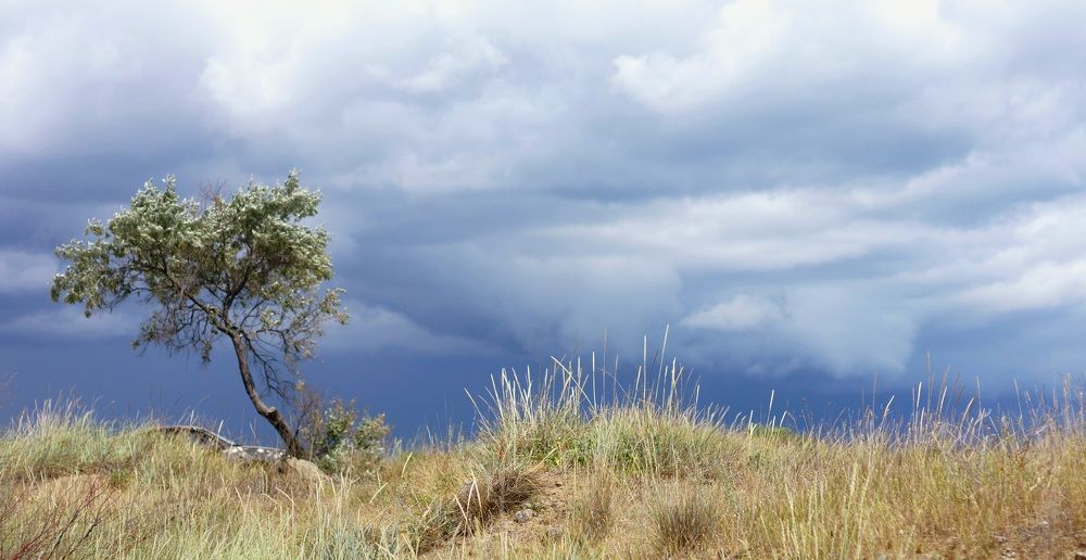 Photograph by Юлия Воскобойникова