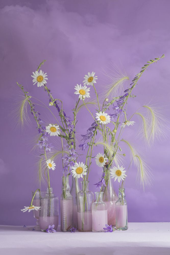 Фотография автора Julia Vikhrova