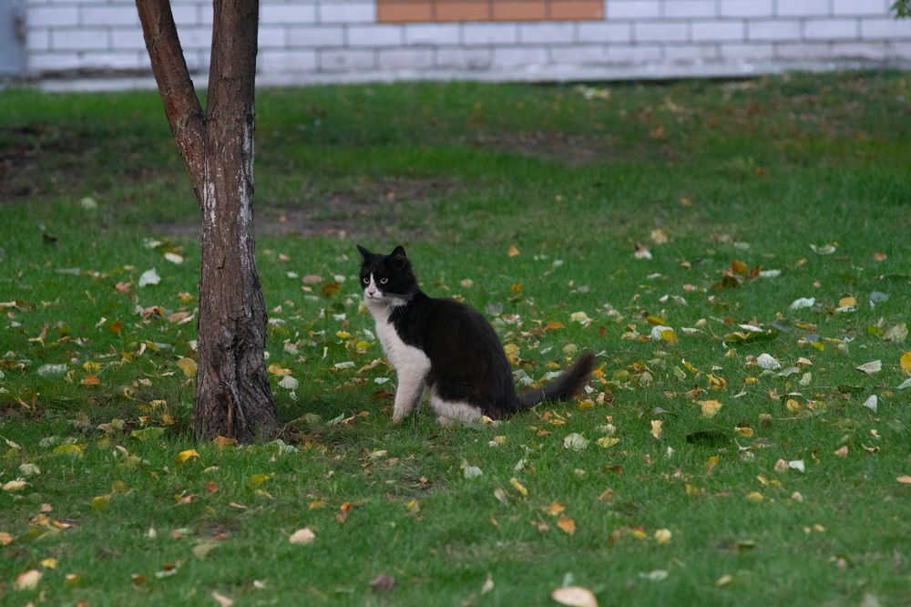 Photograph by Кожевников Андрей